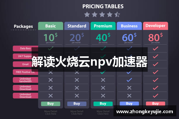 解读火烧云npv加速器