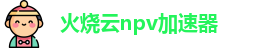 火烧云npv加速器
